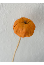 The Florist & The Merchant Natural Fiber Pumpkin Pick