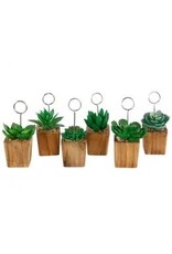 The Florist & The Merchant Potted Succulent Name Card Holder