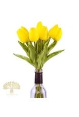 The Florist & The Merchant Tulip - yellow