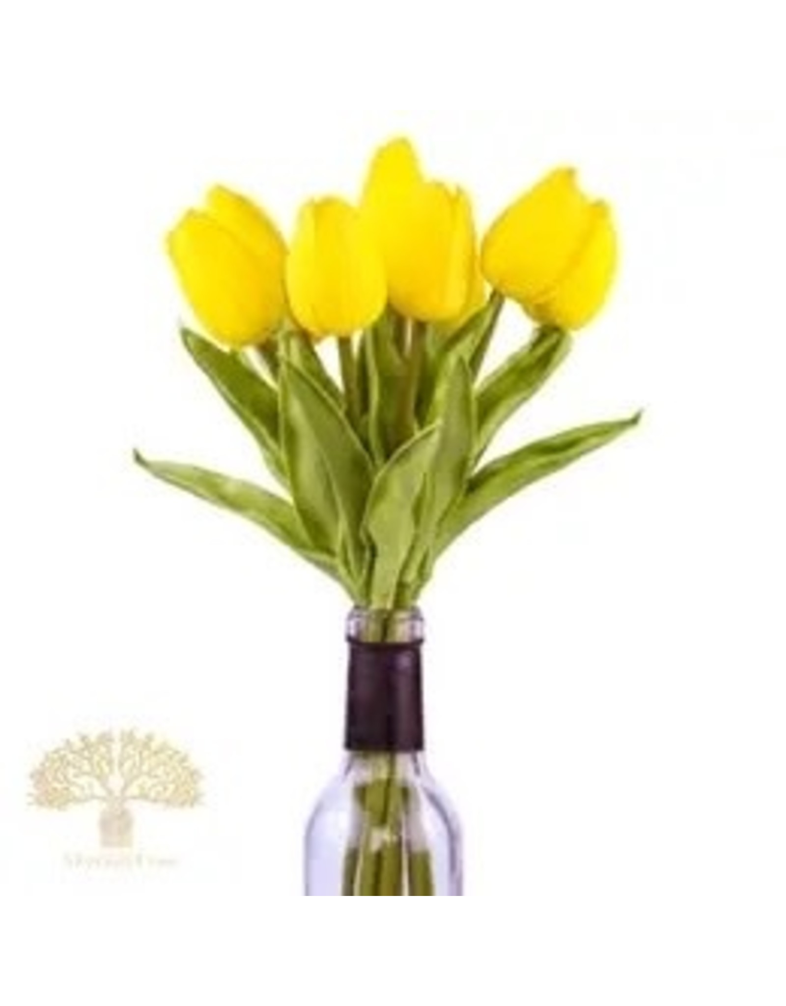 The Florist & The Merchant Tulip - yellow