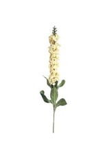 The Florist & The Merchant Delphinium Long Stem Flower