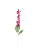 The Florist & The Merchant Delphinium Long Stem Flower