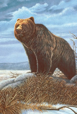 Royal Lang PBN Grizzly Bear