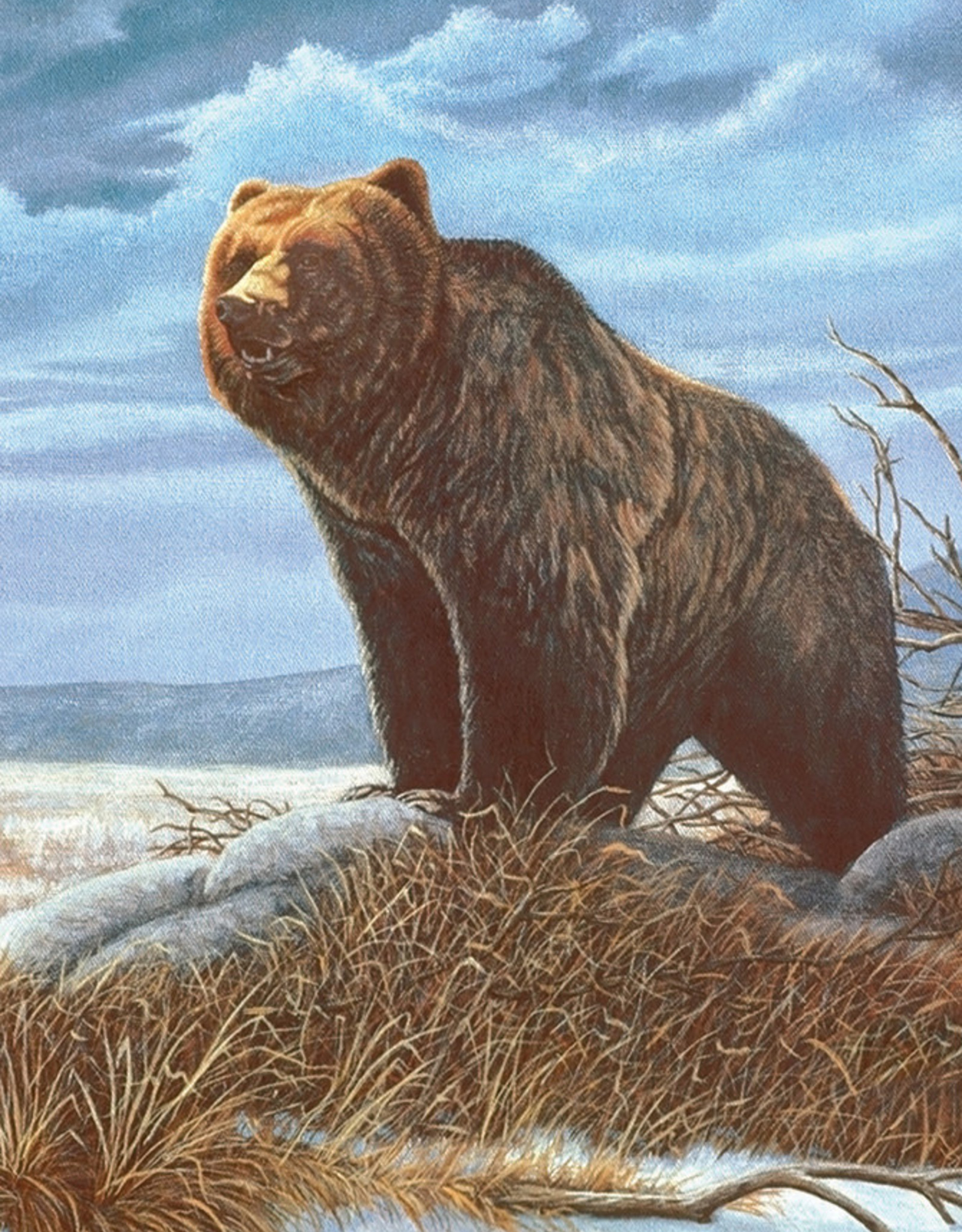Royal Lang PBN Grizzly Bear