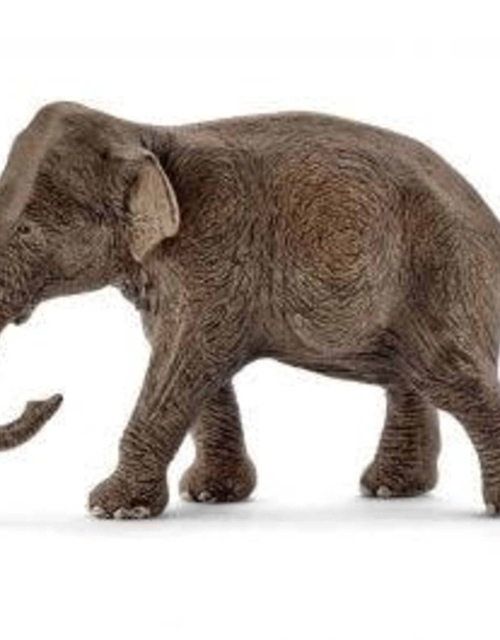 Schleich Asian Elephant female 2016