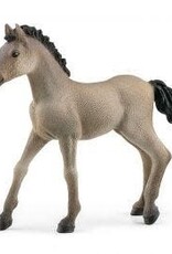 Schleich Criollo Definitivo Foal