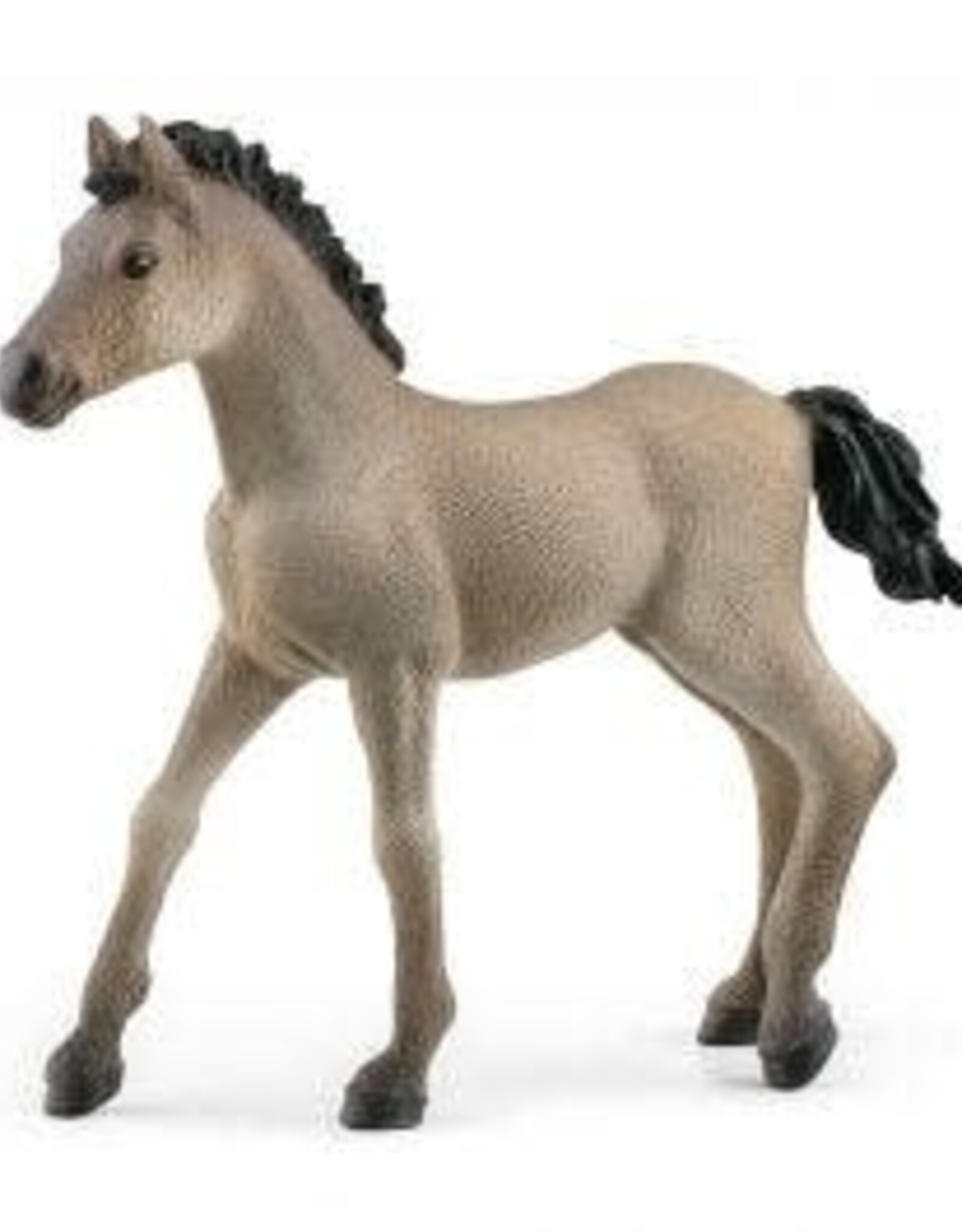 Schleich Criollo Definitivo Foal