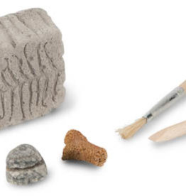 Heebie Jeebies Fossil Dig Palaeontology Kit