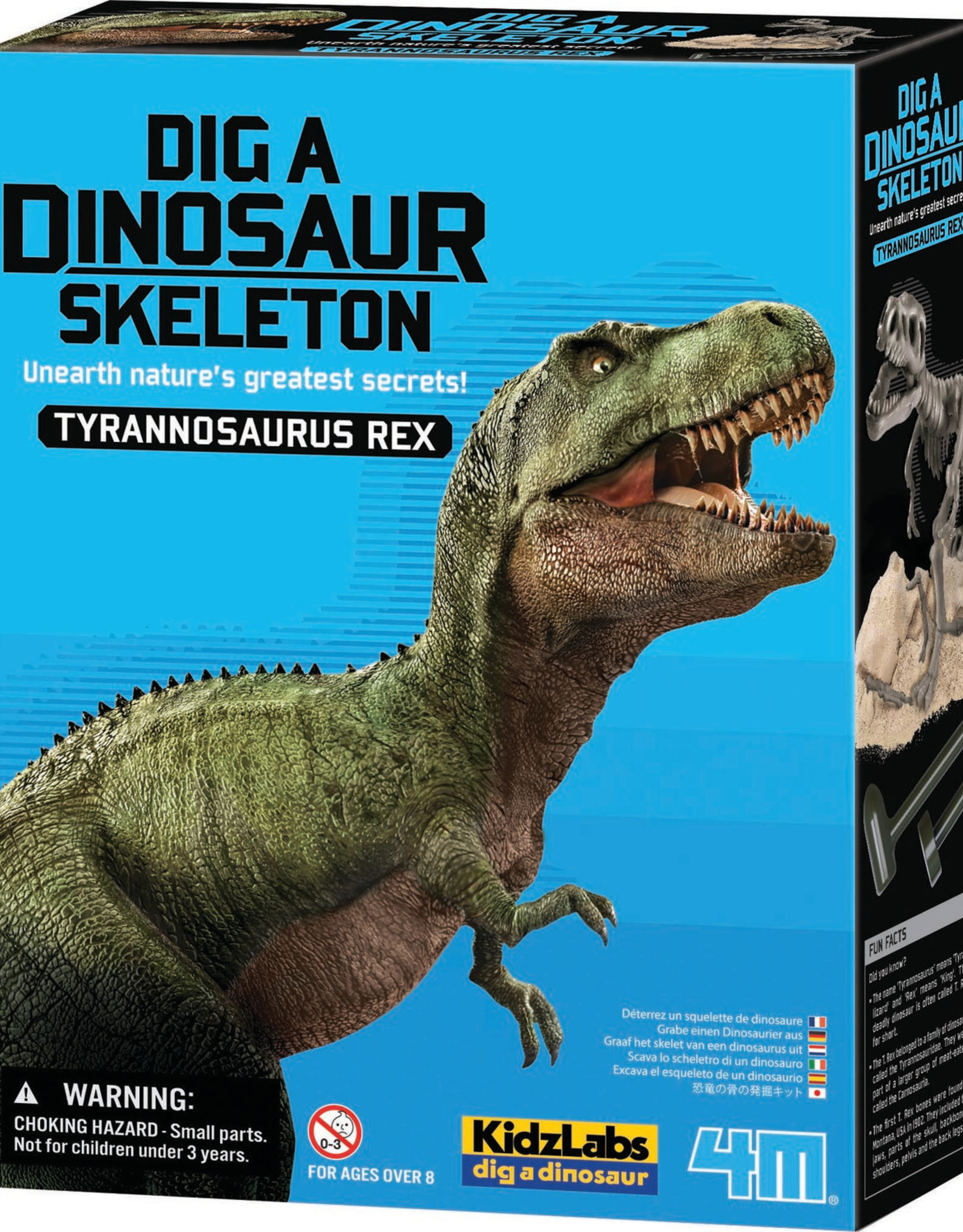 4M Dig A Tyrannosaurus