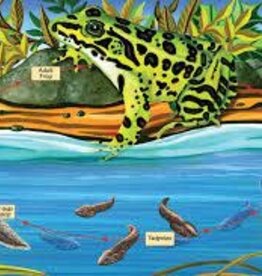 Cobble Hill Life Cycle of a Northern Leopard Frog 48 pc Floor Puzzle