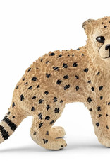 Schleich Cheetah Cub