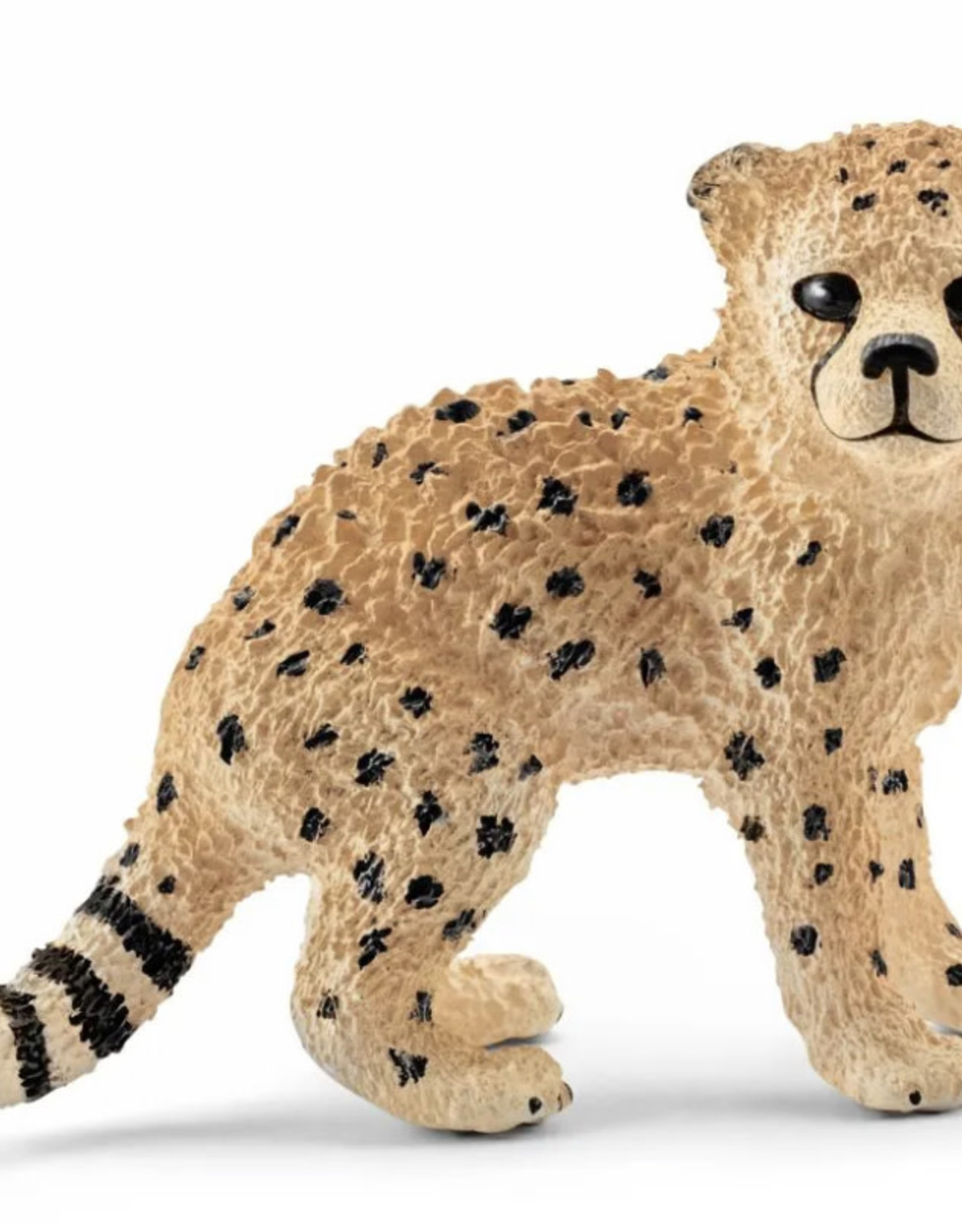 Schleich Cheetah Cub