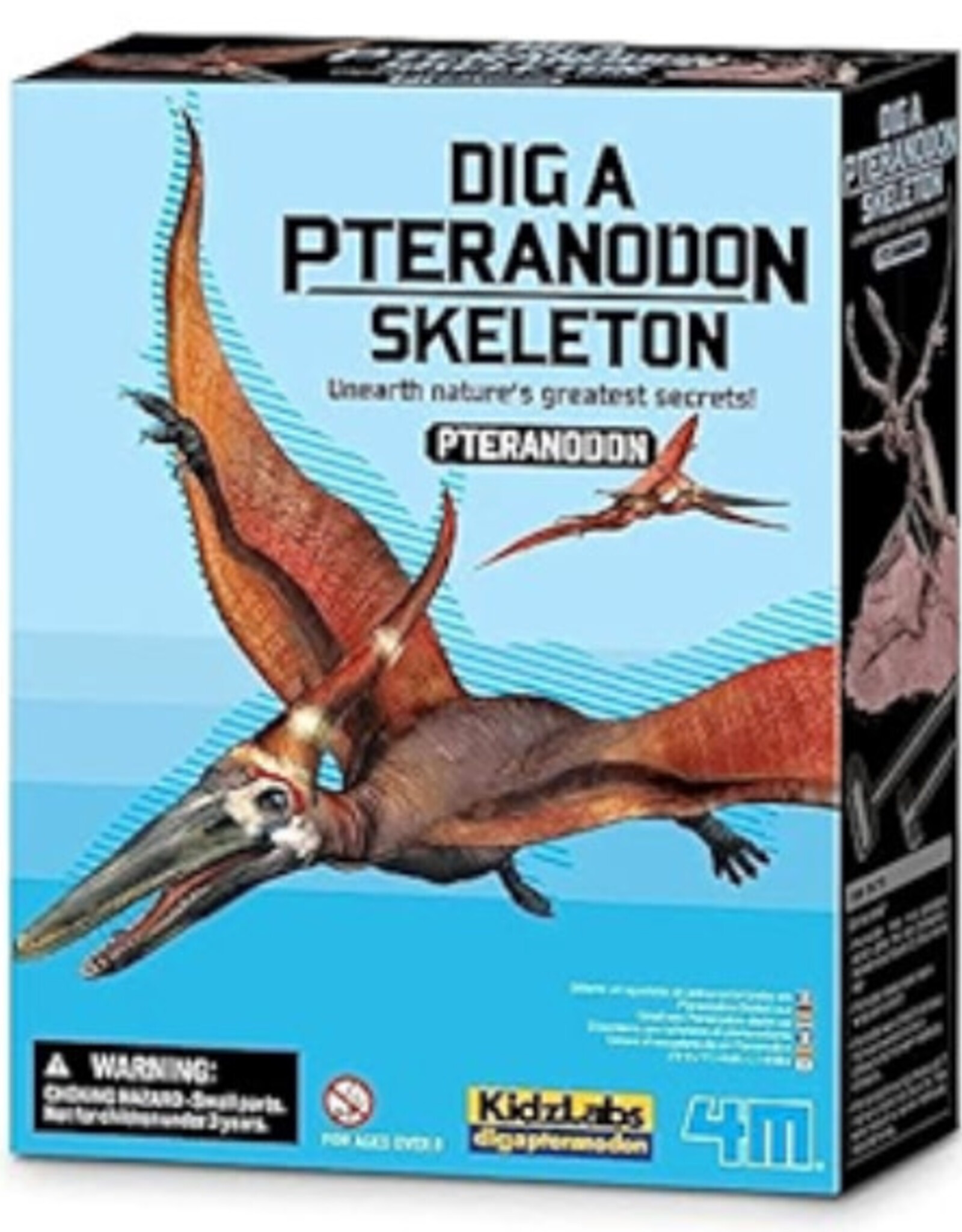 4M Dig a Pteranodon