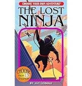 Choose Your Own Adventure CYOA The Lost Ninja