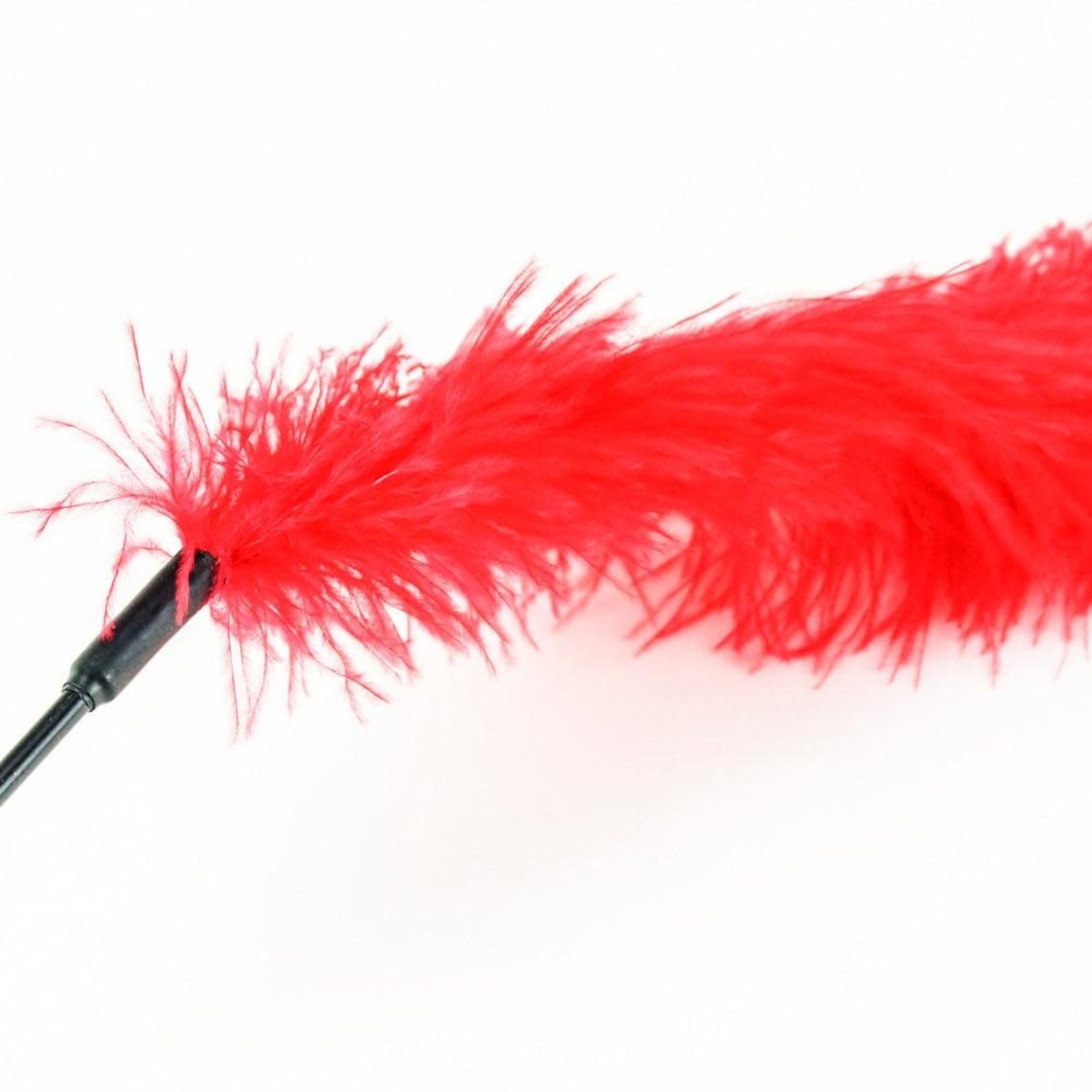 Ostrich Feather Tickler