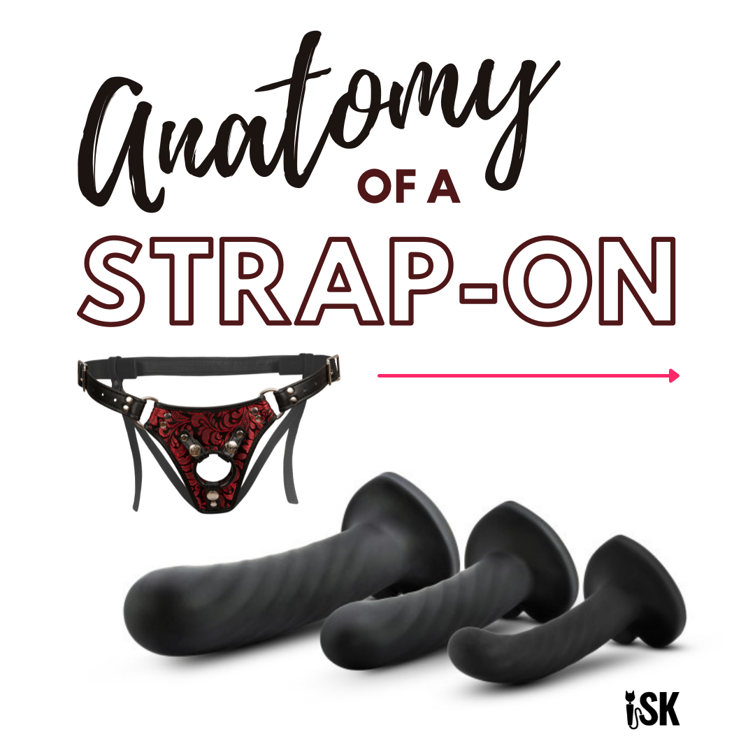 Help Me Choose - Anatomy of a Strap-On image