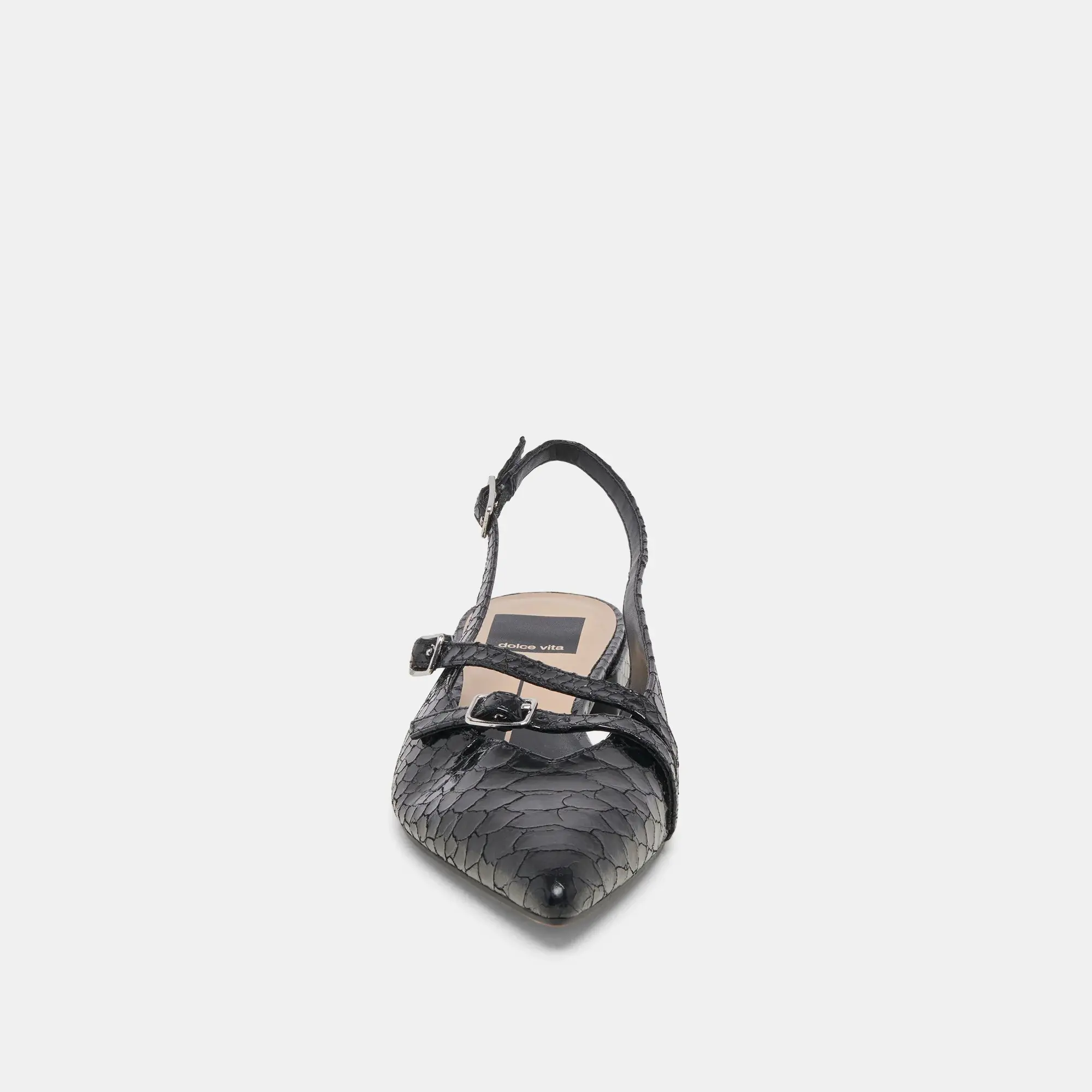 Dolce vita titus snake new arrivals