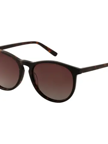 Pilgrim Jewellery SAHARA Recycled Sunglasses Tortoise Brown