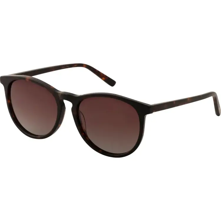 Pilgrim Jewellery SAHARA Recycled Sunglasses Tortoise Brown