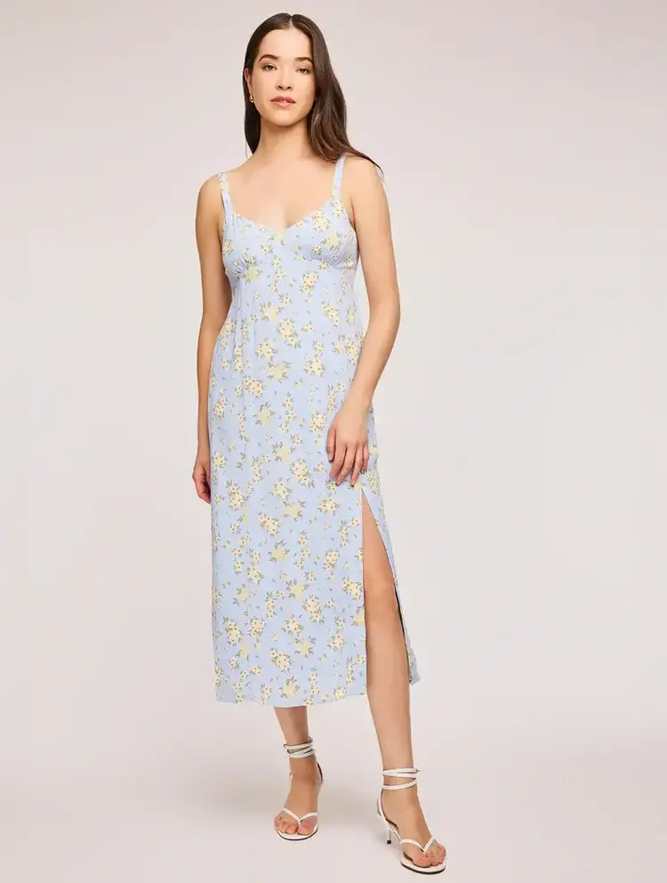 Gentle Fawn Lysandra Midi Dress Sky Floral
