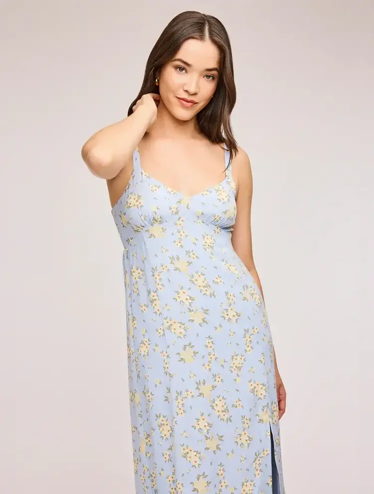 Gentle Fawn Lysandra Midi Dress Sky Floral