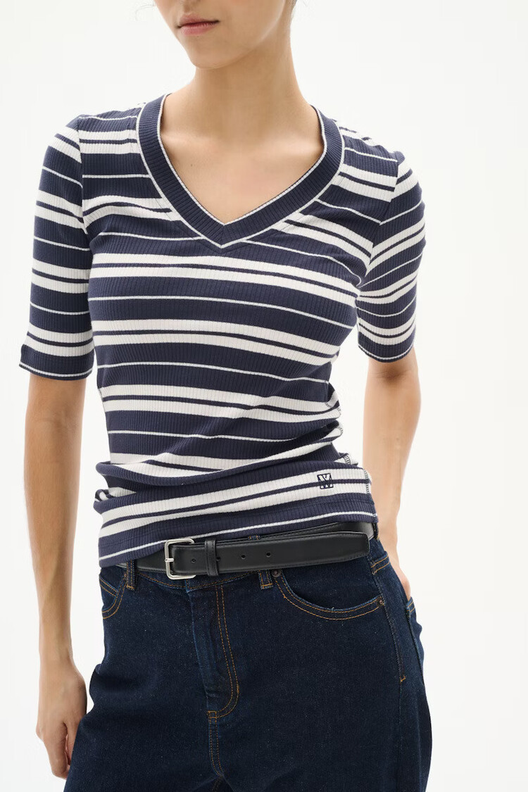 InWear Dagnal Striped V-Neck T-Shirt Small/Big Stripe