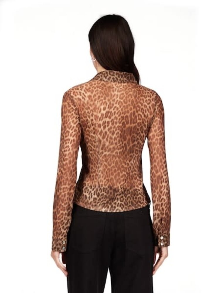 Sanctuary Dreamer's Top French Kitty