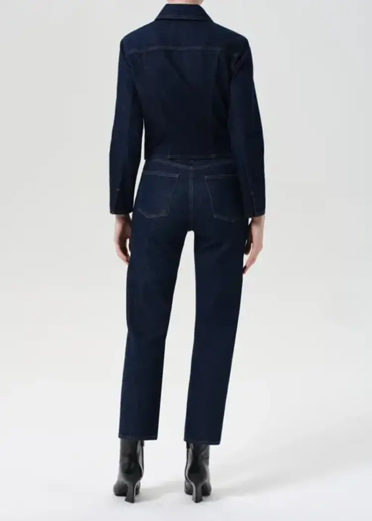 Agolde 90's Pinch Waist Crop in Reissue