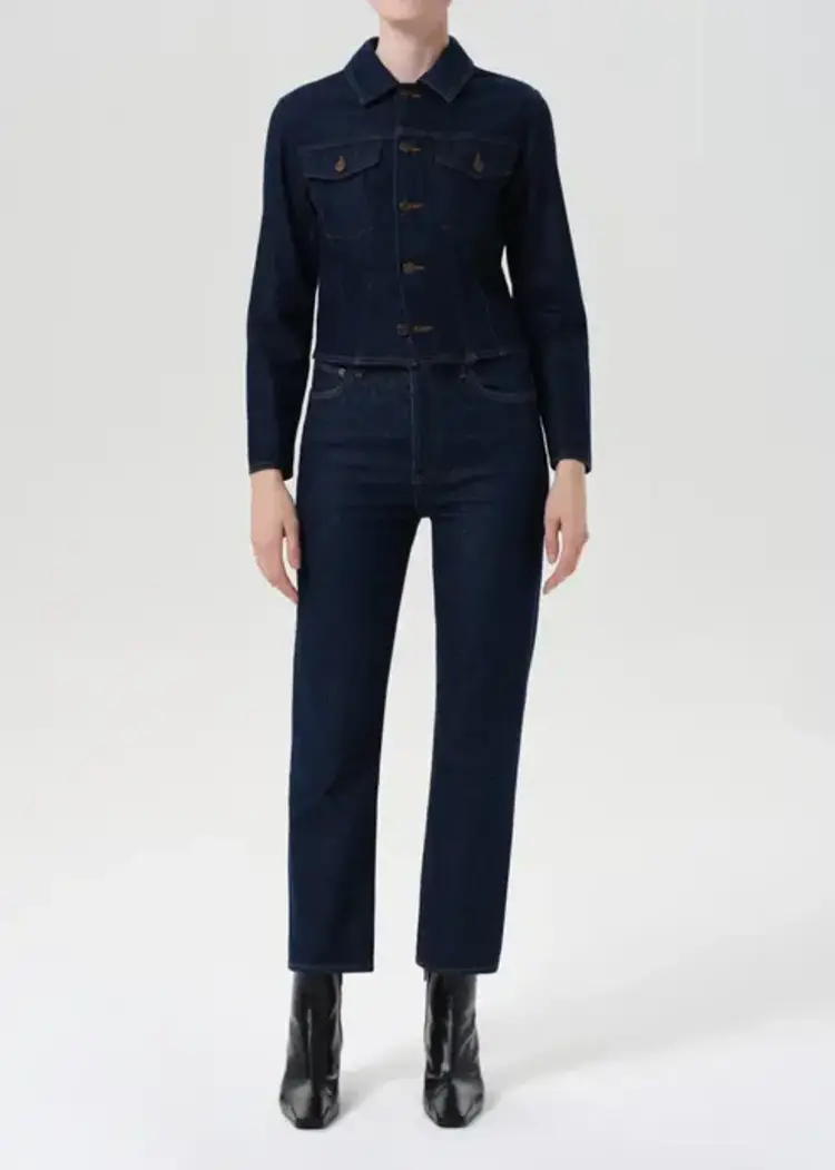 Agolde 90's Pinch Waist Crop in Reissue