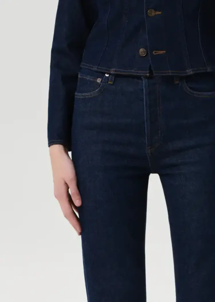 Agolde 90's Pinch Waist Crop in Reissue