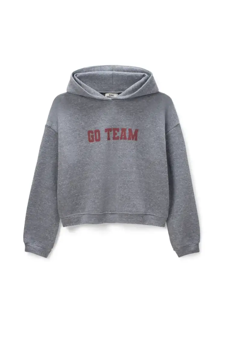 Sunny Somewhere Go Team Classic Hoodie Heather Grey