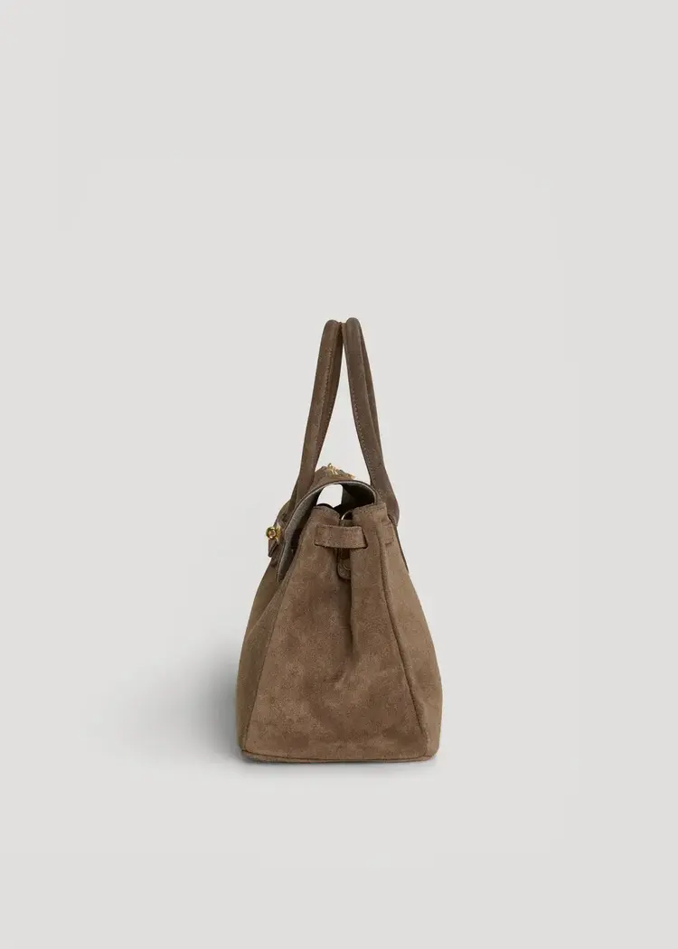 Voemien Elizabeth Bag in Taupe Suede and Togo Leather