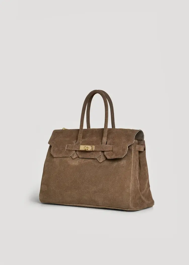 Voemien Elizabeth Bag in Taupe Suede and Togo Leather