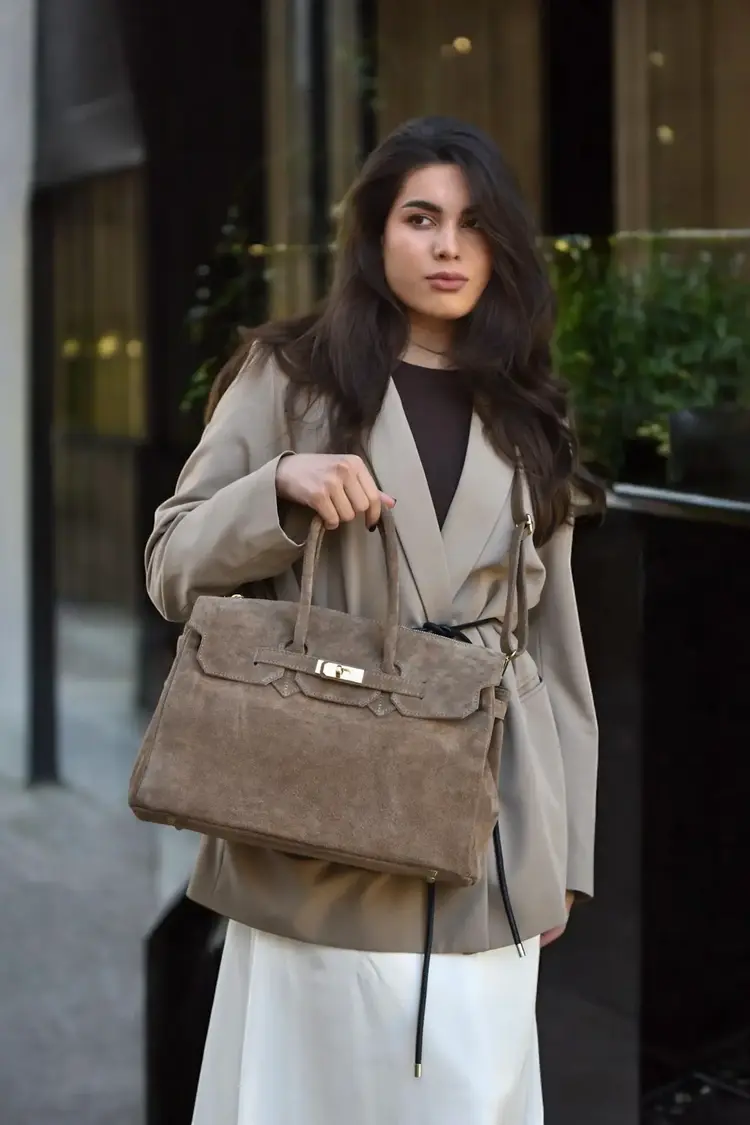 Voemien Elizabeth Bag in Taupe Suede and Togo Leather