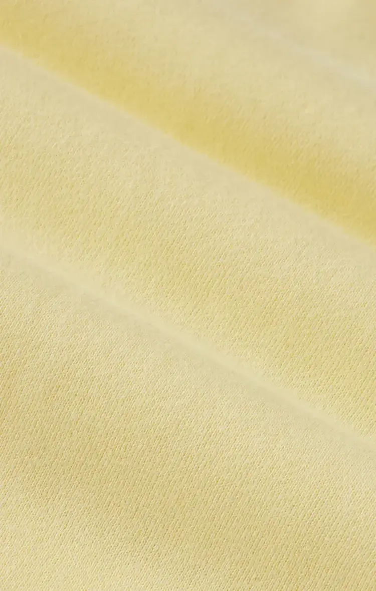 ZSupply Classic Boyfriend Sweatshirt Sunnyside