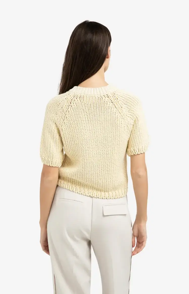 Yaya Heavy Yarn Sweater Short Sleeve Reed Yellow Dessin