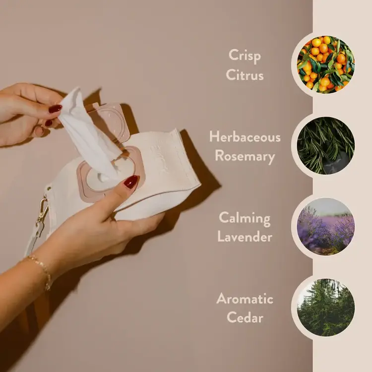 Paume Hand & Body Cleansing Wipes