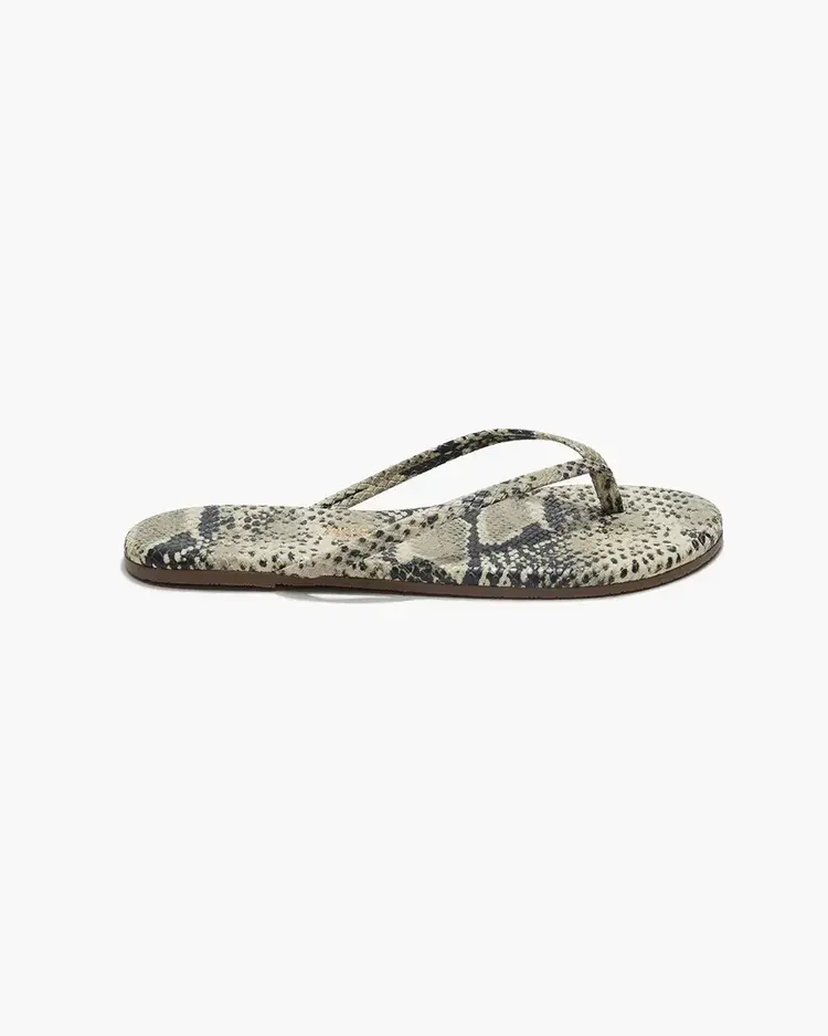 Studio Exotic Sandsnake