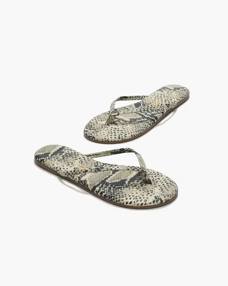 Studio Exotic Sandsnake