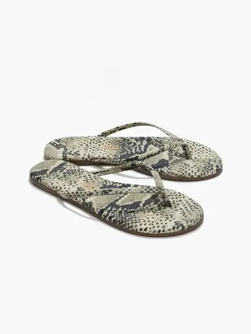 Studio Exotic Sandsnake