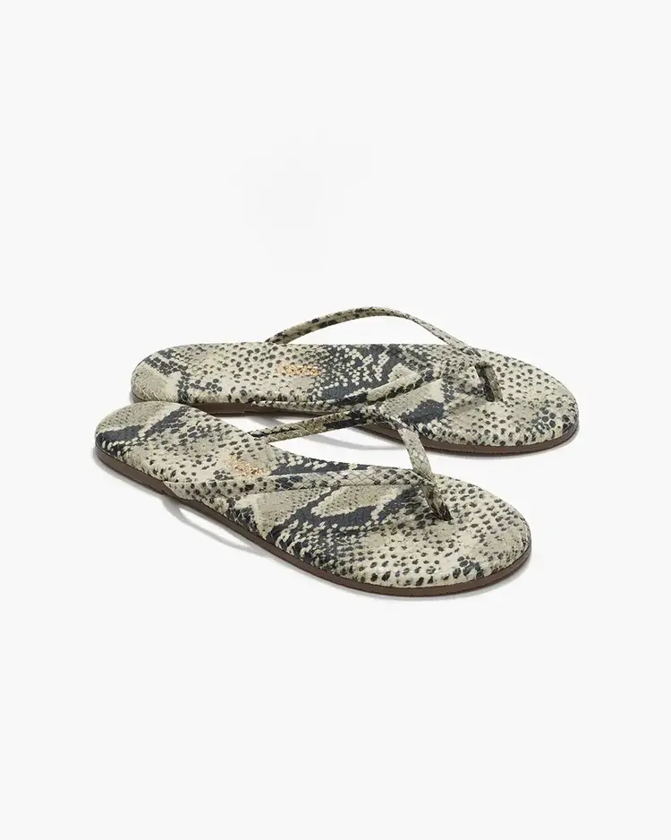 Studio Exotic Sandsnake