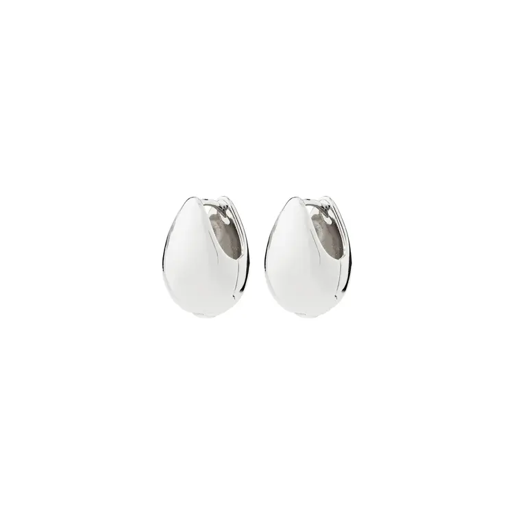 Pilgrim Jewellery KAISYN Earrings Silver Plated