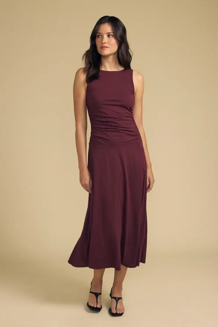 Velvet Pia Dress Dark Plum