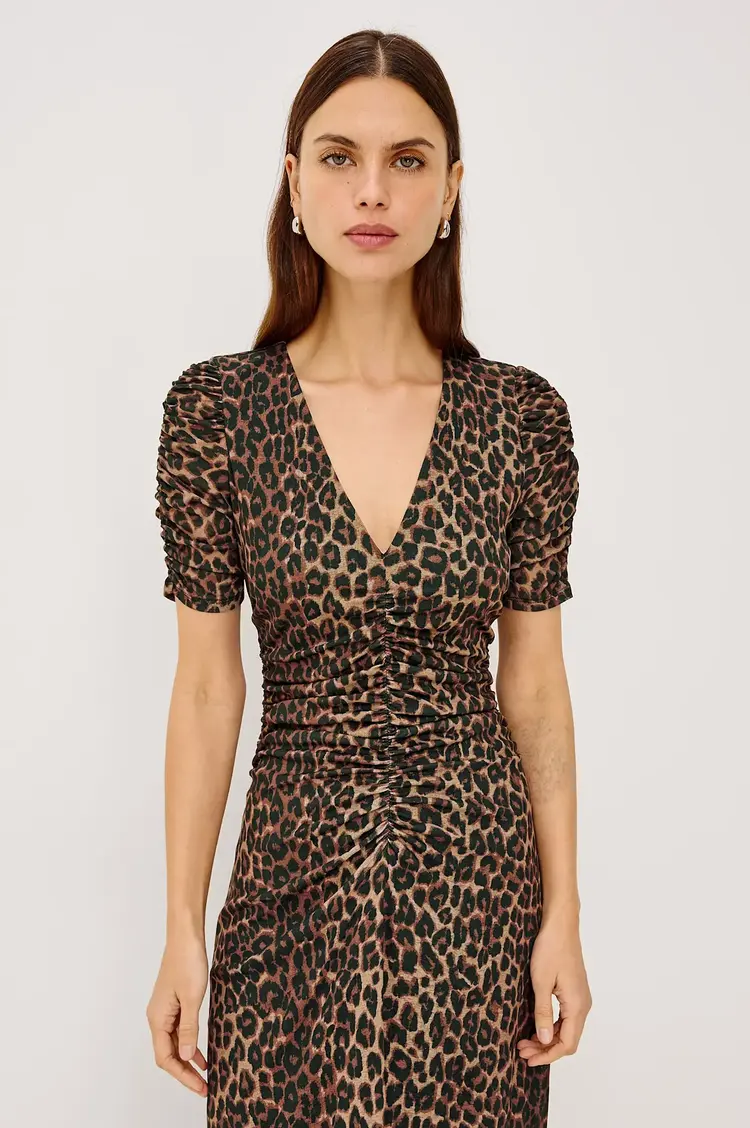 Rails Beacon Dress Brown Nala