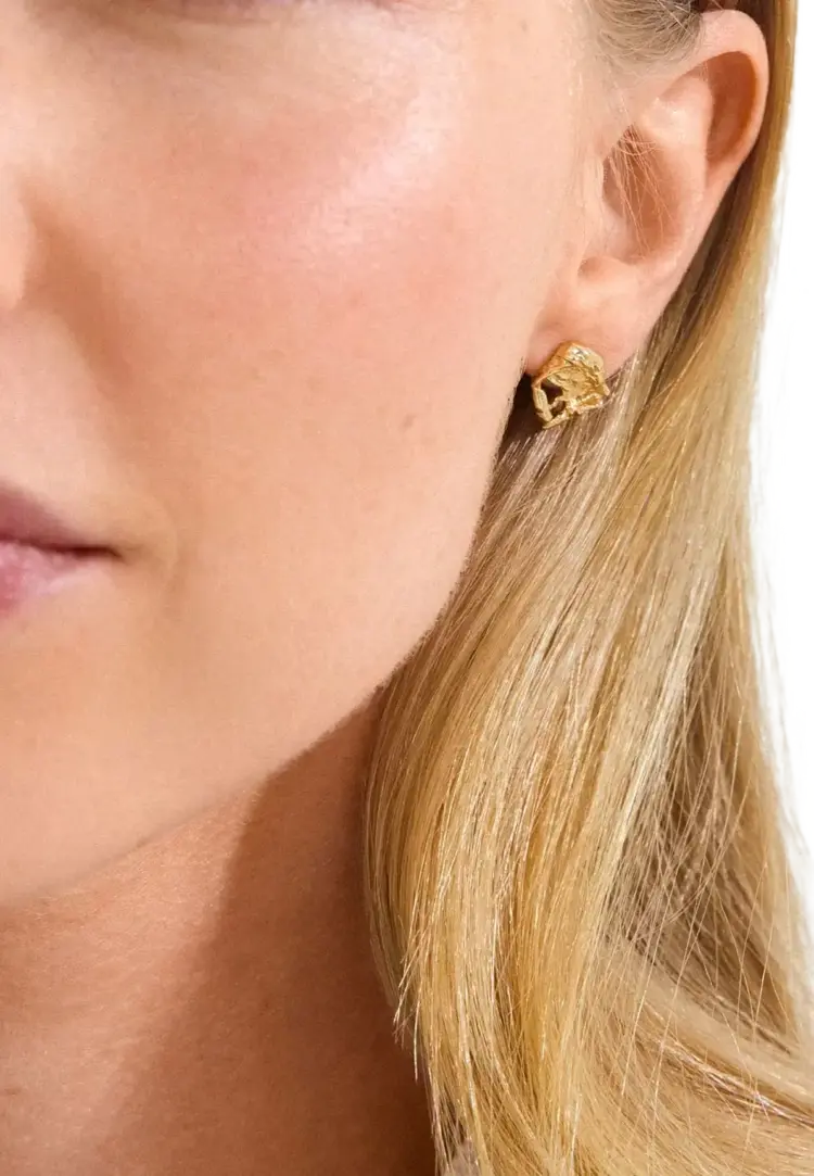 Pilgrim Jewellery ORIEN Earrings Gold Plated