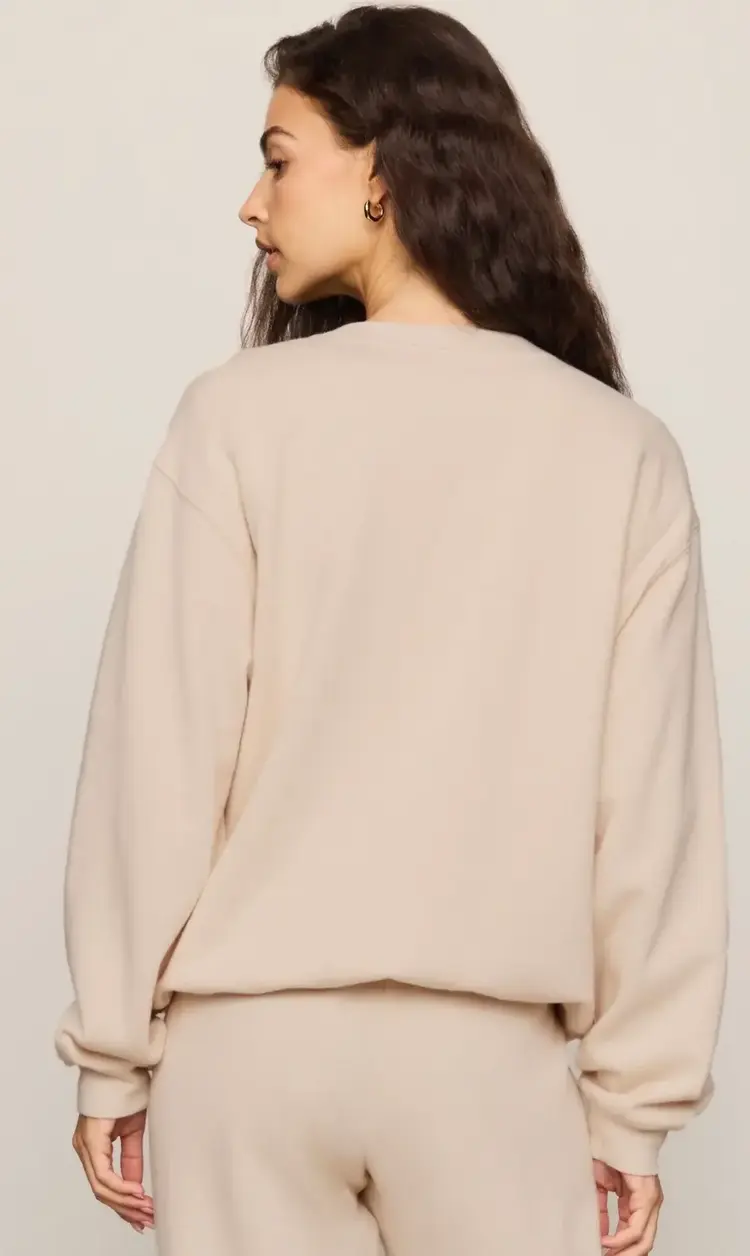 ZSupply Boyfriend Sweatshirt Frosted Pearl
