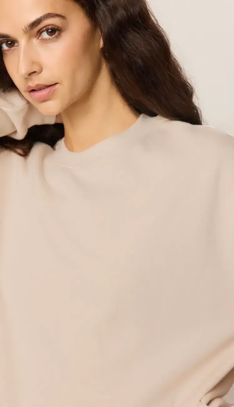 ZSupply Boyfriend Sweatshirt Frosted Pearl