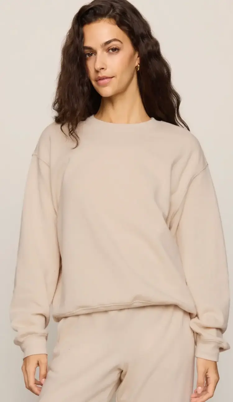 ZSupply Boyfriend Sweatshirt Frosted Pearl