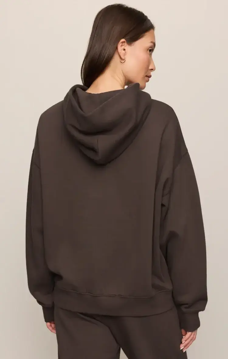 ZSupply First Quarter Hoodie Cocoa Bean