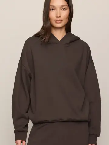 ZSupply First Quarter Hoodie Cocoa Bean